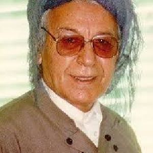 نه‌شمیل