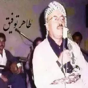 شلی یار