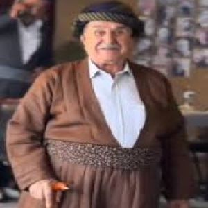 نازت بو
