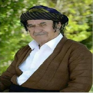 رازیانه رازیانه
