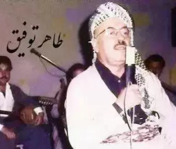شلی یار