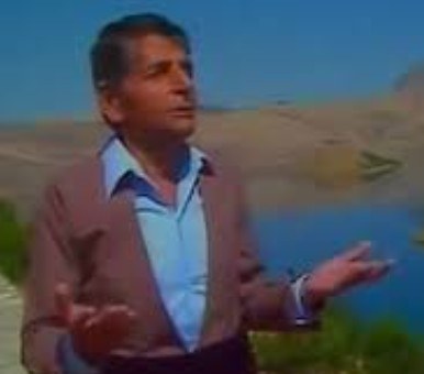 دلی گیروده